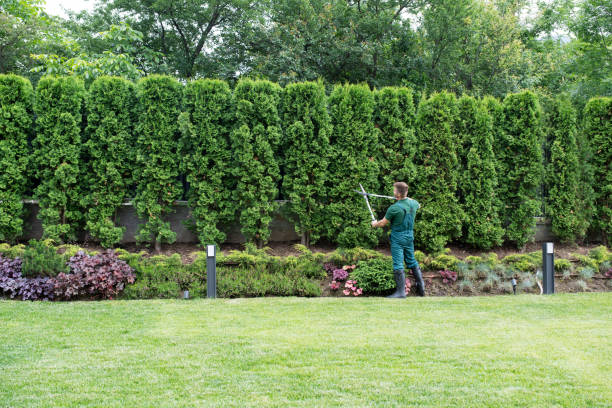 Best Soil Testing and Treatment  in Sylvania, GA